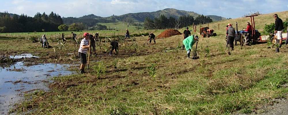 Planting day at Pariri Road