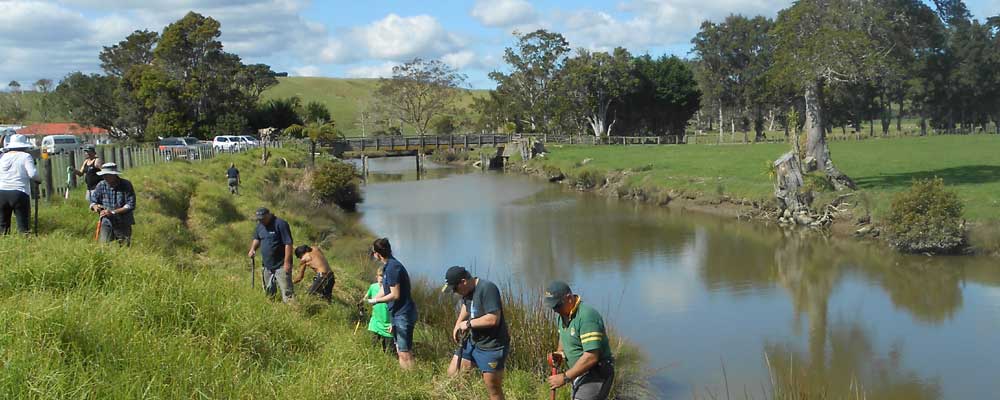 Riparian planting